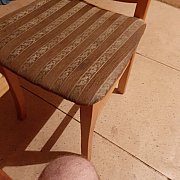 366967432 - мужчина, 35 лет, Płock