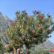 Dowynajeciamen2020 - mężczyzna, 43 lat, Wrocław