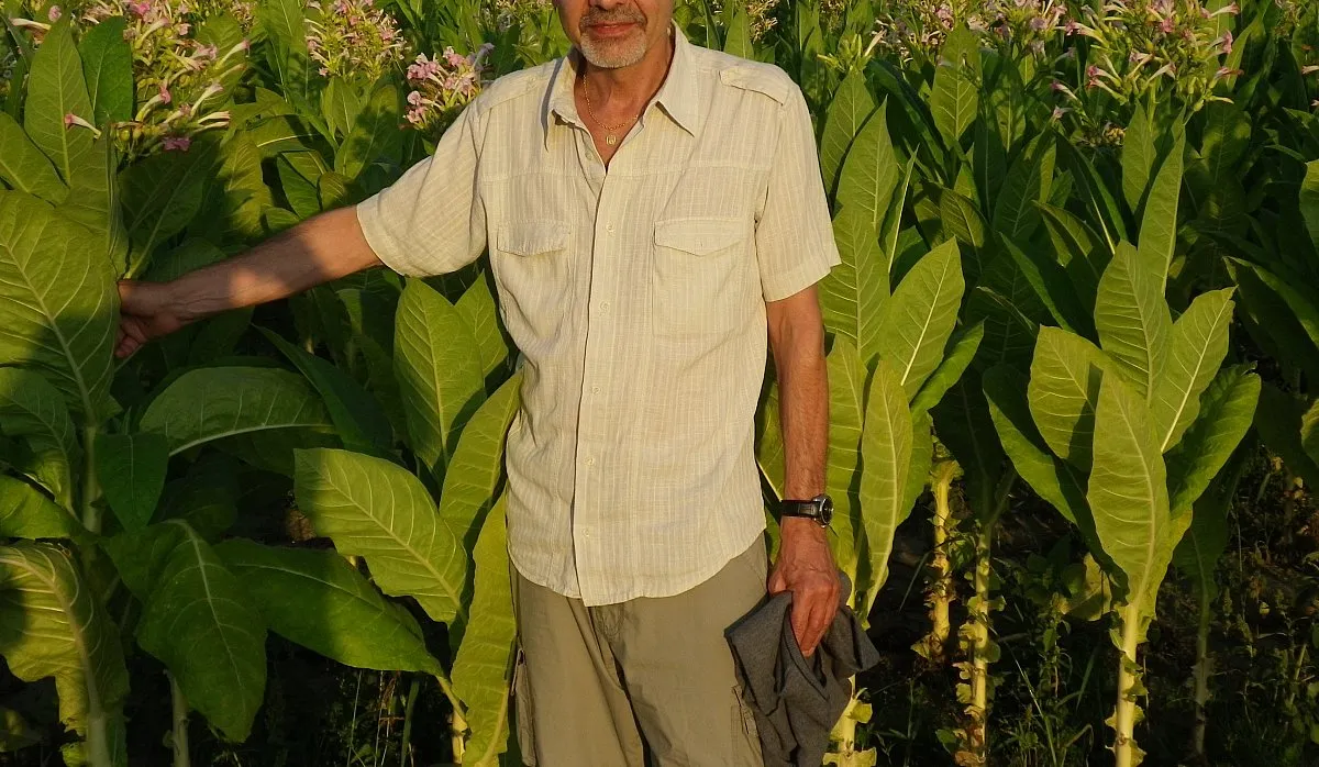 Photo in gallery