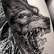 Darkmatter - mężczyzna, 41 lat, Tychy