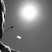 Patryczek00 - mężczyzna, 25 lat, Pabianice