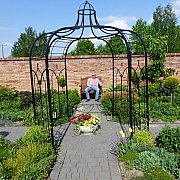 64Borys - mężczyzna, 61 lat, Jastrzębie-Zdrój