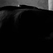 Pierro82 - mężczyzna, 43 lat, Warszawa