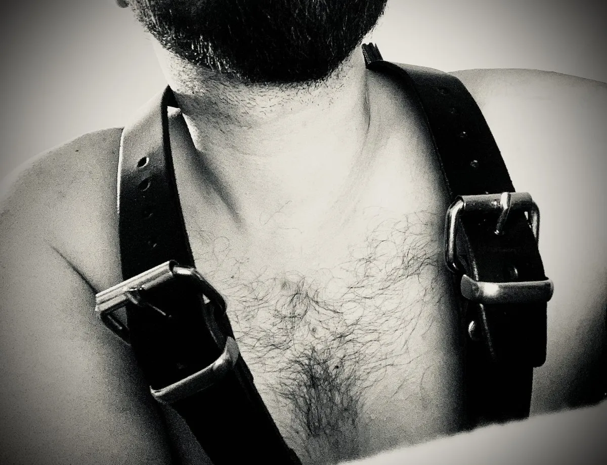 Photo in gallery