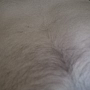 Marcosssexos - mann, 31 Jahre, Tarnobrzeg