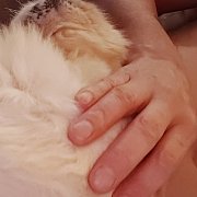 Jaro6666 - mężczyzna, 54 lat, Bydgoszcz