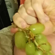 BSRM