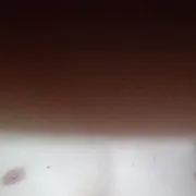 Kamila12098