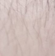 Tomek5555555555 - man, 42 years, Szczecin