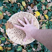 FILUTEKFAJNY - мужчина, 59 лет, Toruń