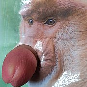 JanuszCebula - muž, 35 let, Rzeszów