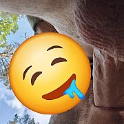 KW87 - mężczyzna, 38 lat, Tczew