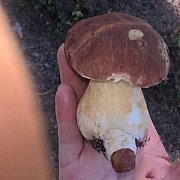 1Looper1 - чоловік, 41 років, Legnica