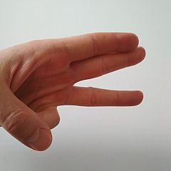 Photo in gallery