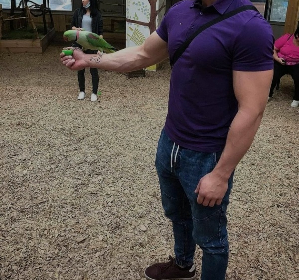 Photo in gallery