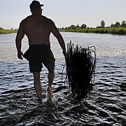 Zorro321 - mężczyzna, 41 lat, Jędrzejów