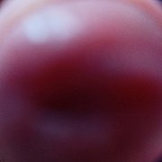 Devonix654 - чоловік, 22 років, Bełchatów