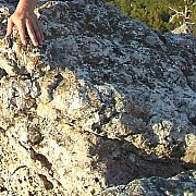 Plakatiren - mężczyzna, 50 lat, Góra