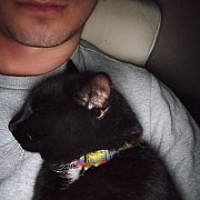 Arczix2 - man, 29 years, Wuppertal