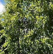 ZbysiuTegi - чоловік, 35 років, Fürth