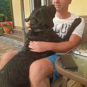 Daanniel - mężczyzna, 52 lat, Skoczów