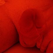 Paragon75 - mann, 50 Jahre, Łódź