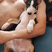 Kokajna - mężczyzna, 26 lat, Gorzów Wielkopolski