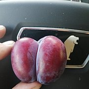 Grzegorzmarkowski23 - mężczyzna, 37 lat, Września