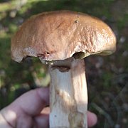 Tamtu034 - mężczyzna, 46 lat, Leszno