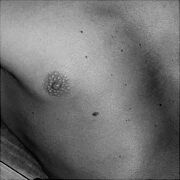 Xaikon - muž, 44 let, Włocławek