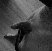 Daniello97 - man, 28 years, Iława