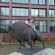Dmitryz - mężczyzna, 45 lat, Warszawa