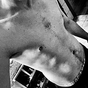 Repcakrepcak - muž, 32 let, Radom