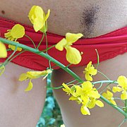 Niezaspokojonahotka - frau, 39 Jahre, Kielce