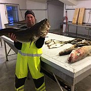 Miroml102 - мужчина, 55 лет, Gniezno