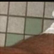 Maksio421