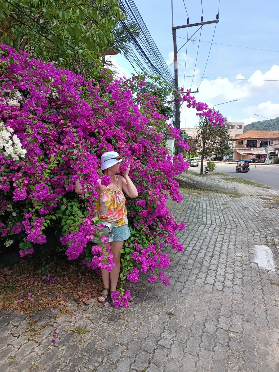 Photo in gallery