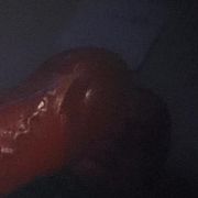 Borek1006 - mężczyzna, 36 lat, Warszawa