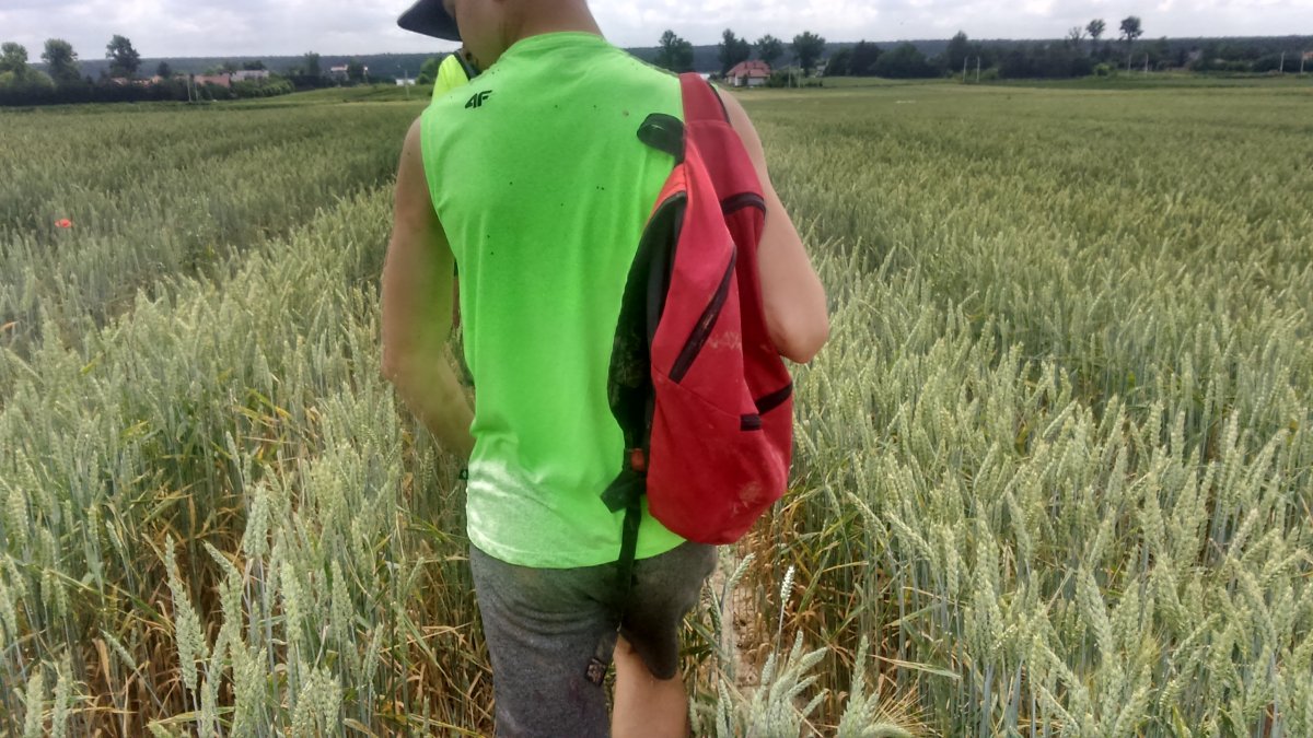 Photo in gallery