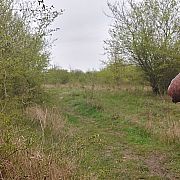 Men1345 - mężczyzna, 44 lat, Szczecin