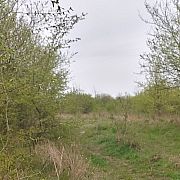 Men1345 - mężczyzna, 44 lat, Szczecin