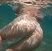 Jovita35 - frau, 39 Jahre, Birmingham