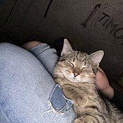 Lizakninenineseven - man, 23 years, Czechowice-Dziedzice