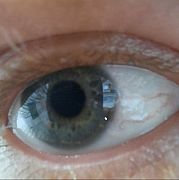 Blondynlysy81 - man, 43 years, Kórnik