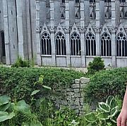 Fazi45 - mężczyzna, 35 lat, Tomaszów Mazowiecki