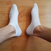 Sockser