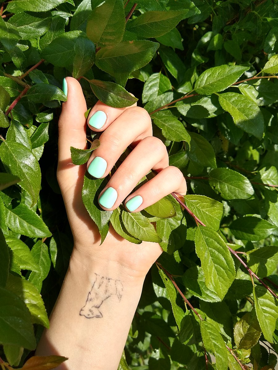 Photo in gallery