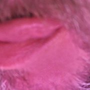 Mikikana - mann, 42 Jahre, Świnoujście