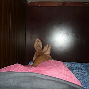 Pawlik661