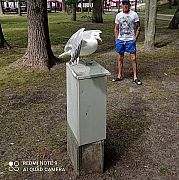 Sebastian79